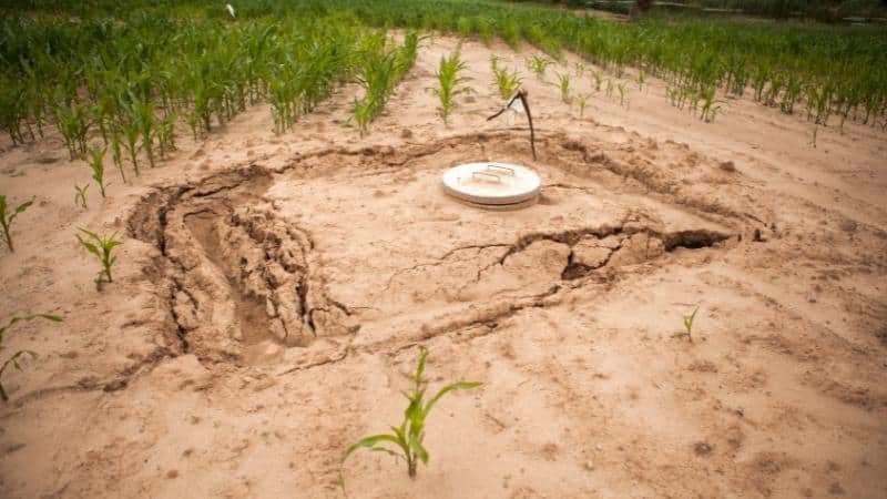 Mistakes Done While Hiding Septic Tank Lids