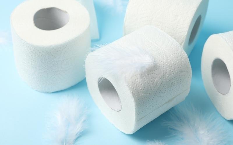 Toilet Paper that You can Use