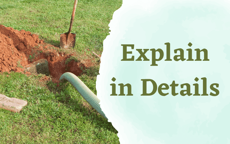 How Often Should a Septic Tank be Pumped